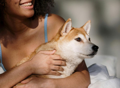 Pet Health