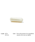 Advanced Digestive Enzymes | Thorne