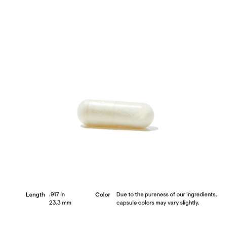 Advanced Digestive Enzymes | Thorne