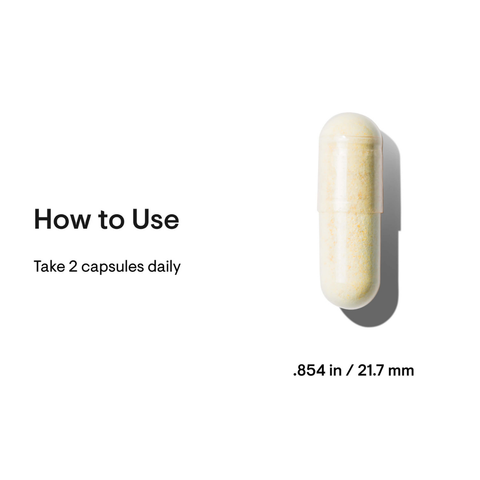 Basic Nutrients 2/Day | Thorne