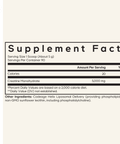 Liposomal Creatine Powder | Codeage