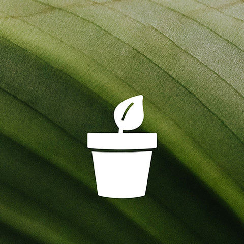Grow