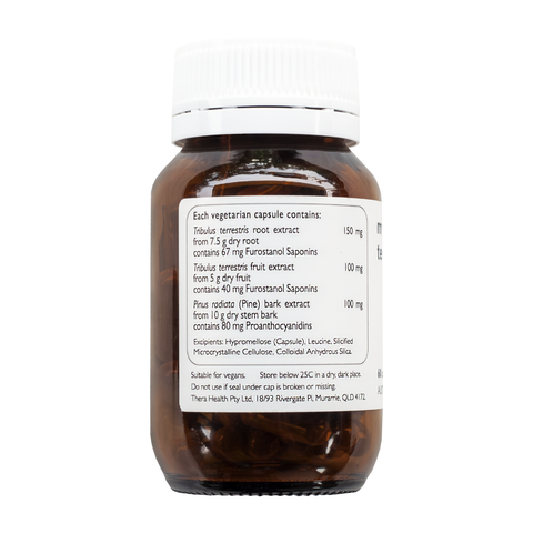 my testosterone | Therapure