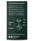 Cordyceps Mushroom | Gaia Herbs