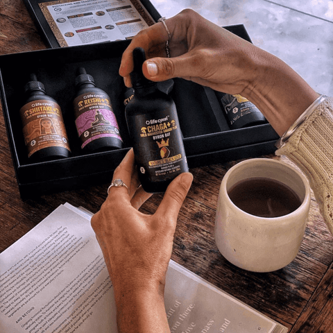 Chaga Mushroom Extract | Life Cykel