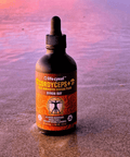 Cordyceps Mushroom Extract | Life Cykel