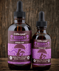 Reishi Mushroom Extract | Life Cykel