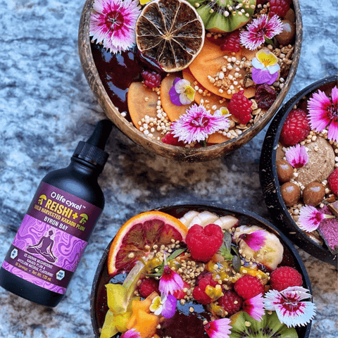 Reishi Mushroom Extract | Life Cykel