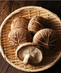 Shiitake Mushroom Extract | Life Cykel