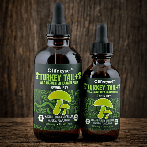 Turkey Tail Mushroom Extract | Life Cykel