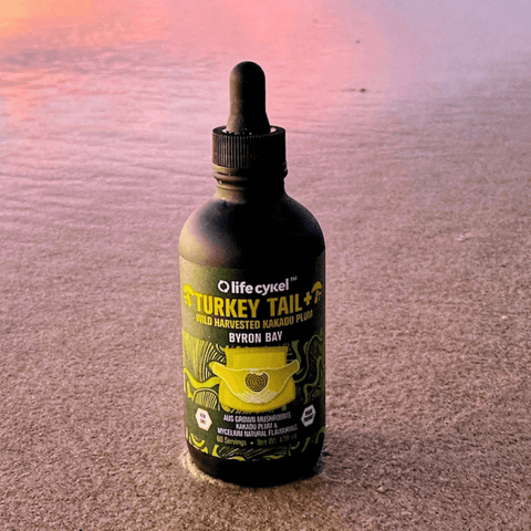 Turkey Tail Mushroom Extract | Life Cykel